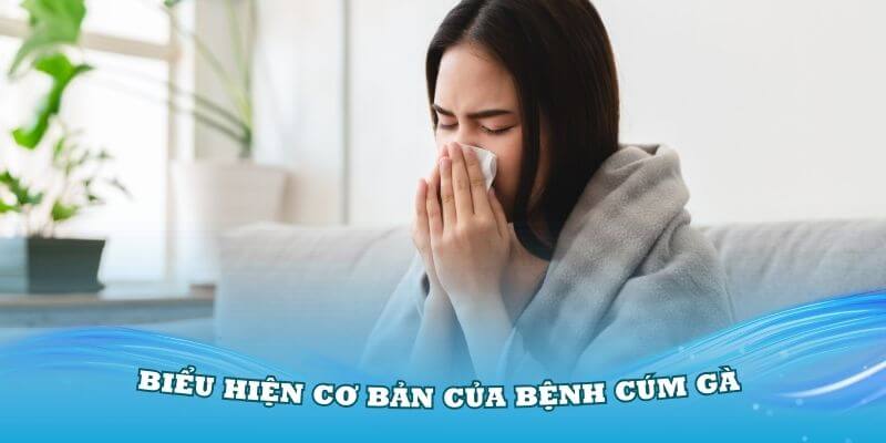 Những biểu hiện cơ bản của bệnh cúm gà