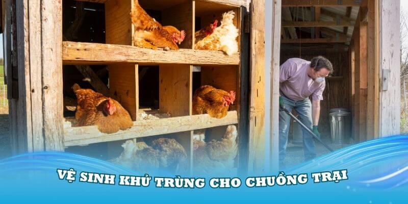 Thường xuyên vệ sinh khử trùng cho chuồng trại